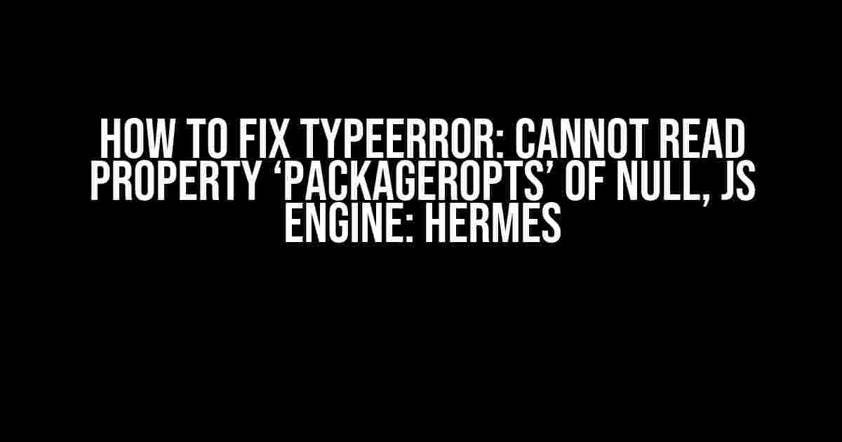 How to Fix TypeError: Cannot read property ‘packagerOpts’ of null, JS Engine: Hermes